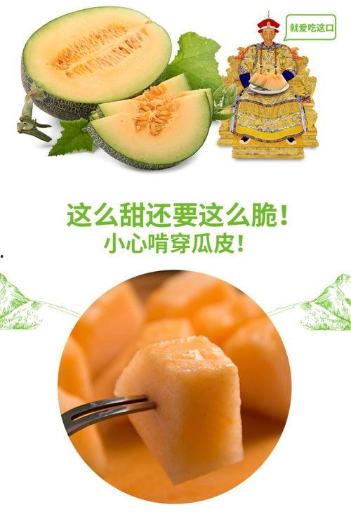 二奶奶吃蜜瓜视频,一场视觉与味蕾的双重盛宴