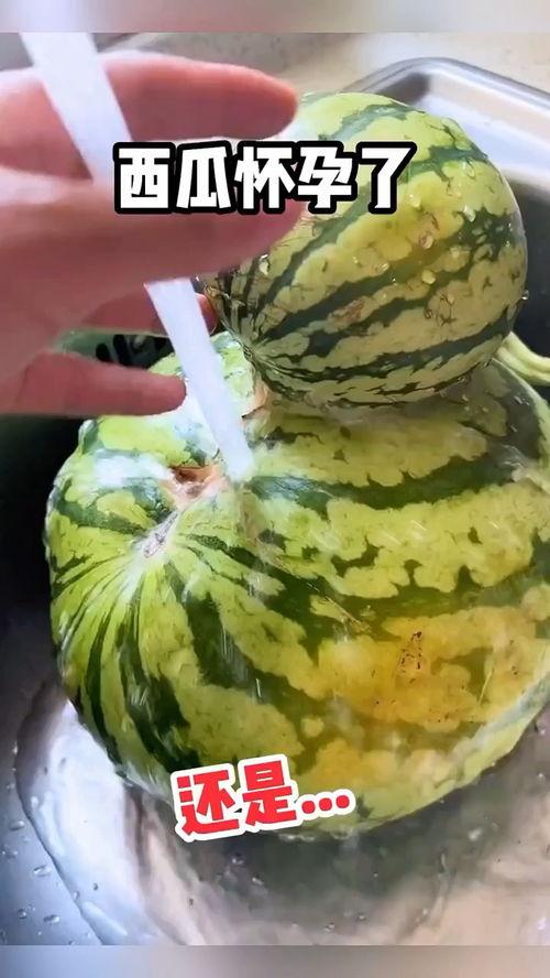 河南吃瓜搞笑视频合集,笑料百出，欢乐无限