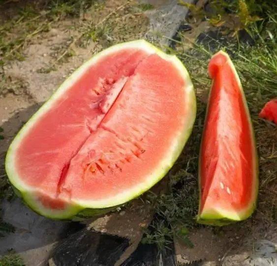 快速吃瓜视频,揭秘热门视频背后的故事