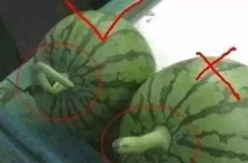 八卦吃瓜视频怎么制作,轻松上手，打造热门短视频