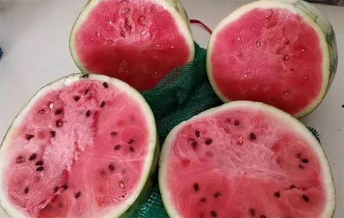 麒麟瓜能做果盘吃吗视频,美味创意新体验