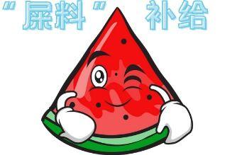 大型吃瓜视频大全集,揭秘娱乐圈幕后风云