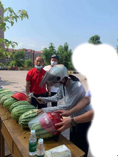 虎林吃瓜事件视频最新,一场网络热议的真相揭秘