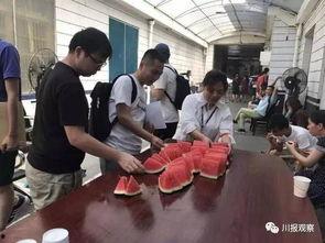 吃瓜群众感动视频下载,感动视频背后的感人瞬间