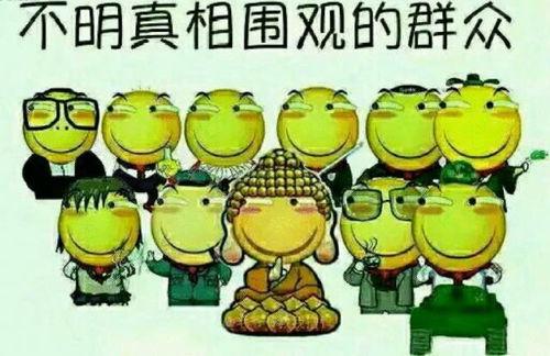 吃瓜群众说说视频大全