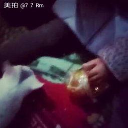 猫吃瓜视频现场,现场直播，萌宠吃瓜大赛精彩瞬间