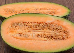 猎豹吃哈密瓜会死吗视频,揭秘野生动物的致命诱惑