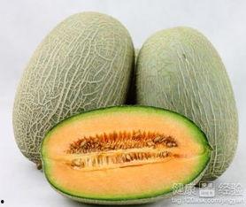 海马吃哈密瓜好吗视频
